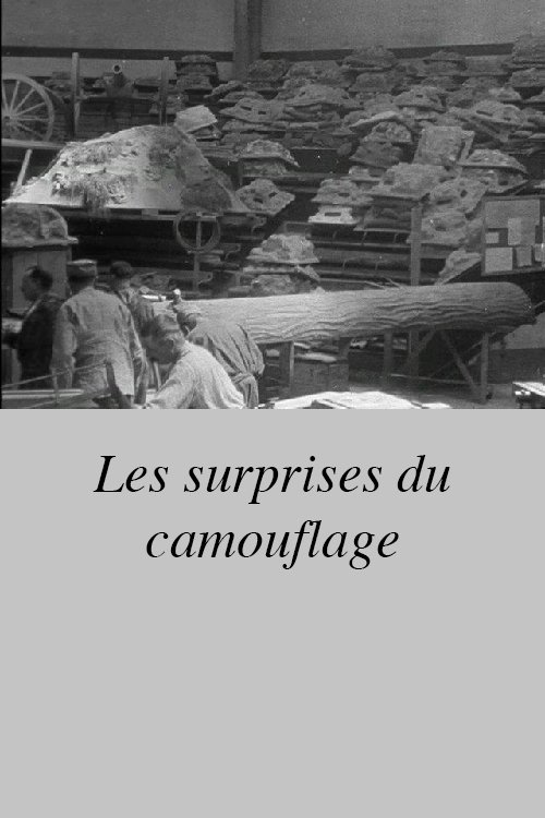 Les surprises du camouflage poster