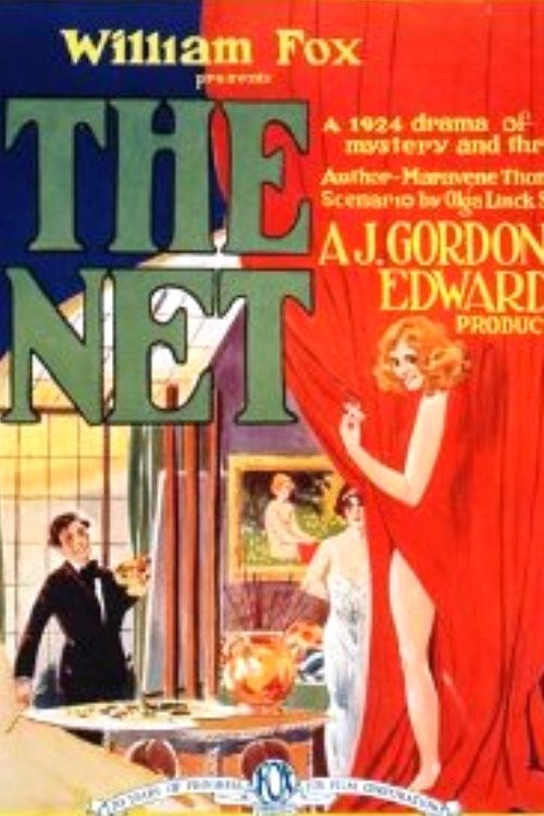 The Net movie poster player