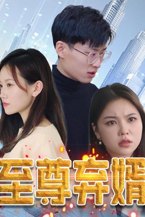 至尊弃婿 (2023) poster