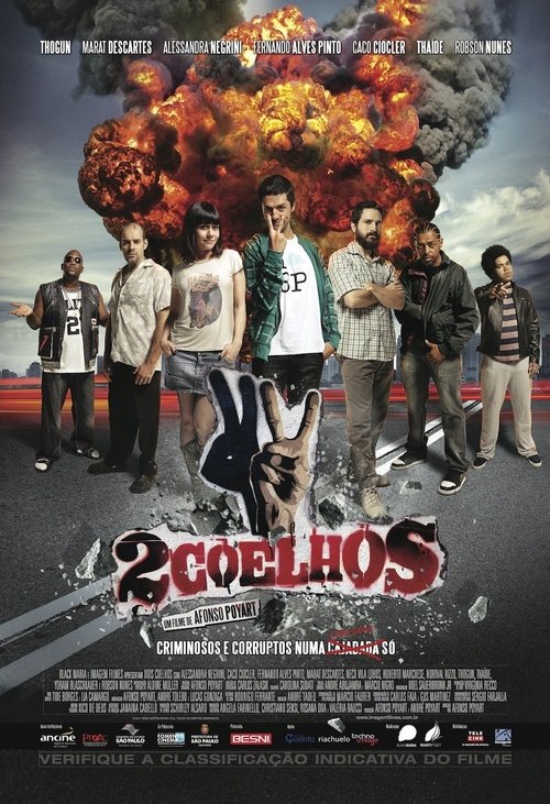 2 Coelhos movie poster player