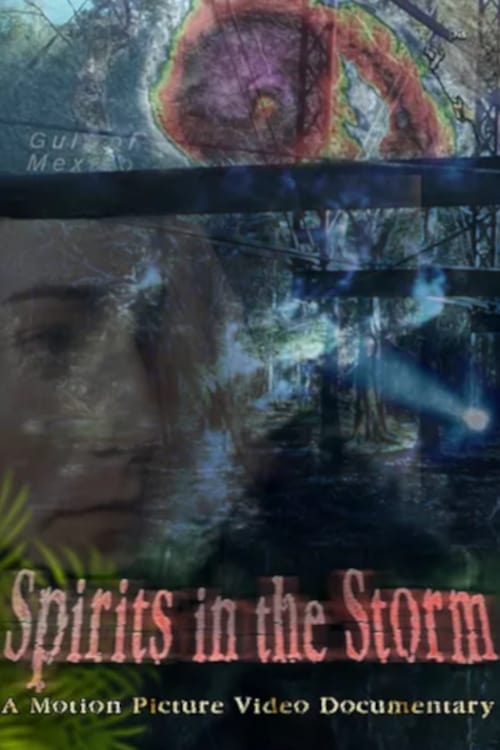 Spirits in the Storm poster