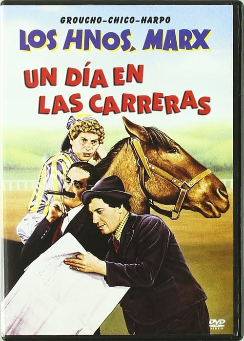 A Day at the Races poster