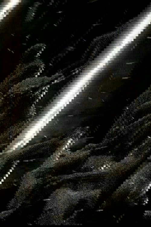 no_movie_cover