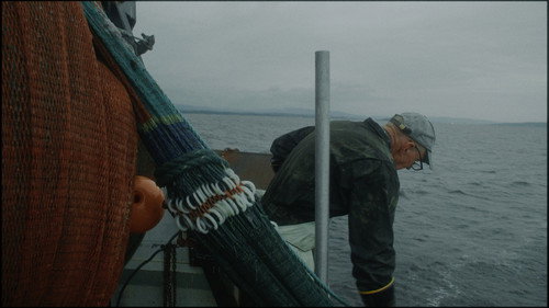 Caught in the net — Backdrops 9