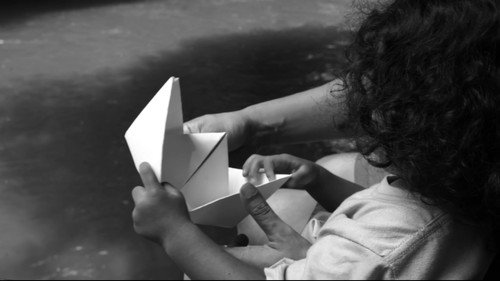 Sparrow in the Storm