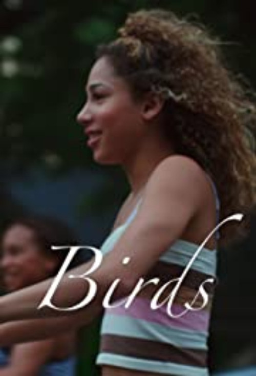 Póster oficial de Birds (2021) - Drama
