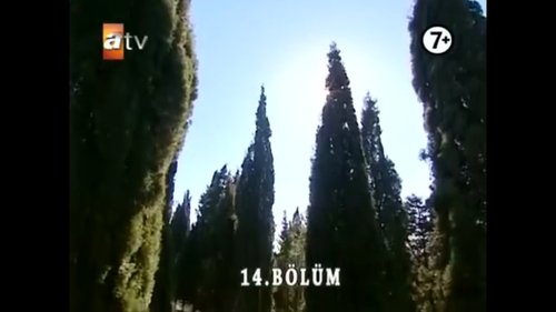 Image de l'épisode 14