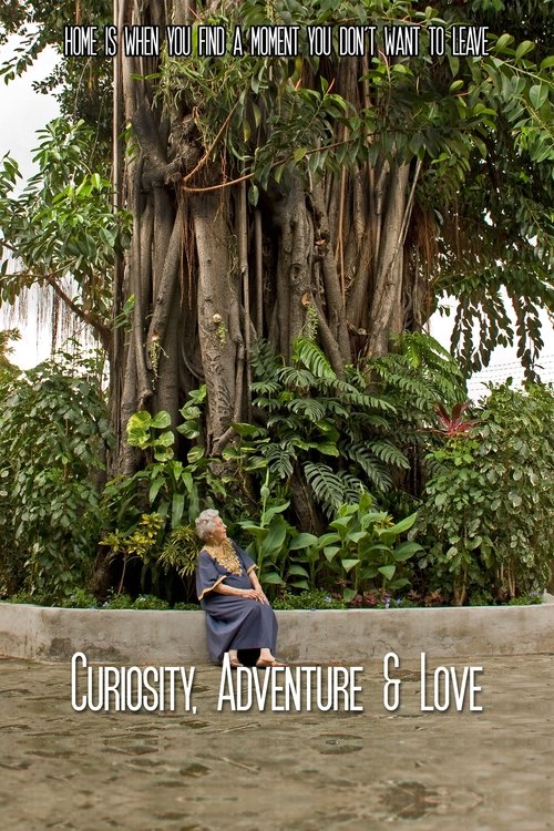 Poster Curiosity, Adventure and Love 2016