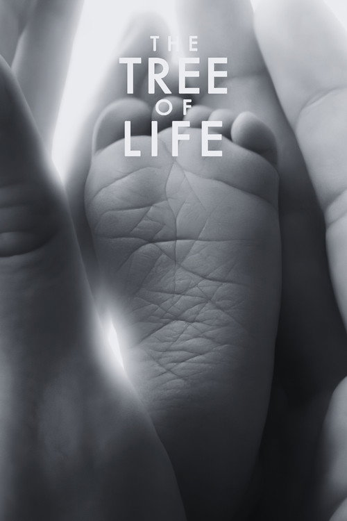 Image du film