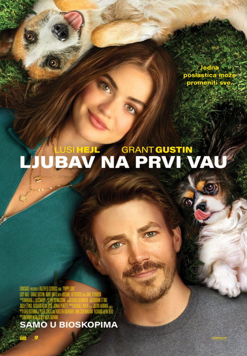 Љубав на први вау Poster