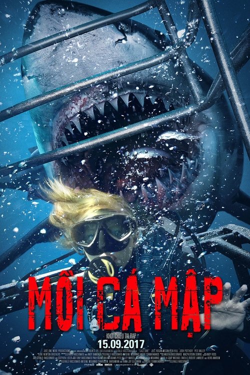 Poster Mồi Cá Mập
