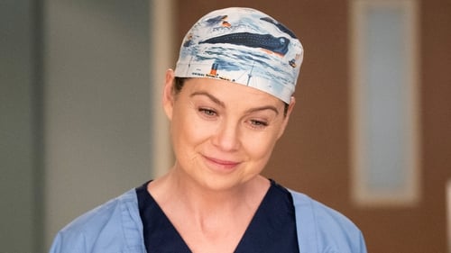 Grey's Anatomy - Season 14 - Episode 13: You Really Got A Hold On Me