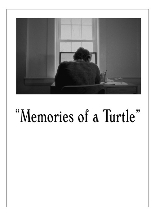 Memories of a Turtle