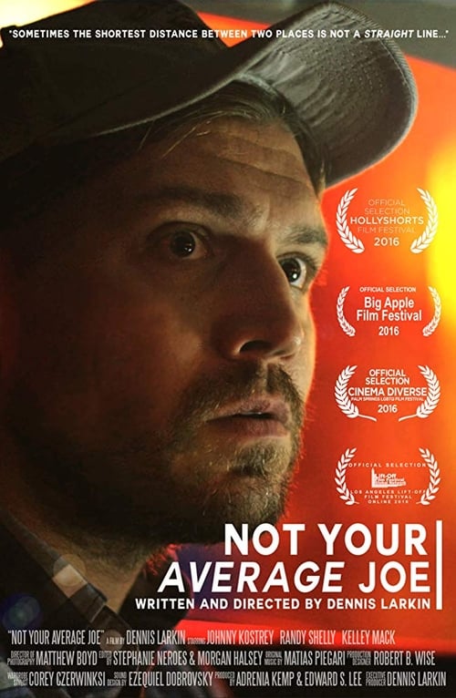 Poster do filme Not Your Average Joe