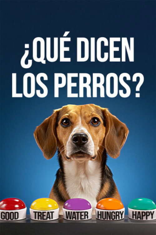 ¿Qué dicen los perros? poster