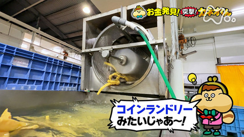 Image de l'épisode 229