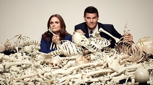 Bones: Sempre em Medicina