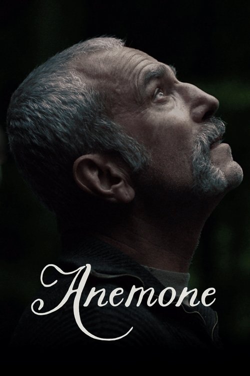 Anemone