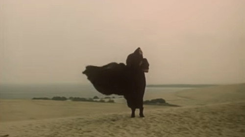 Journey to Paradise still