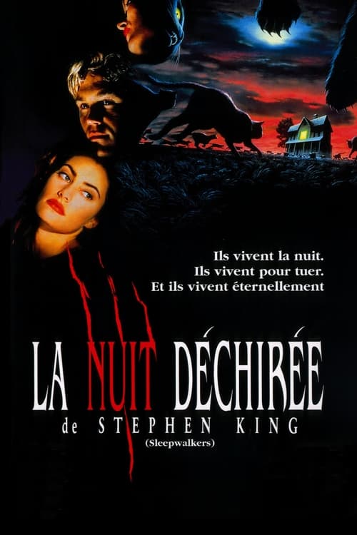 |FR| La Nuit dechiree