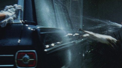 The Perils of Priscilla