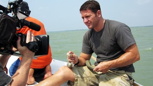 Image de l'épisode 17