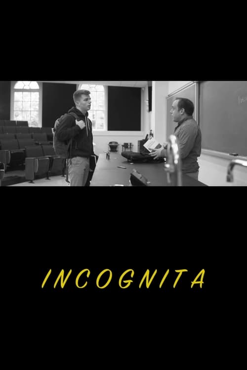 Largescale poster for Incognita