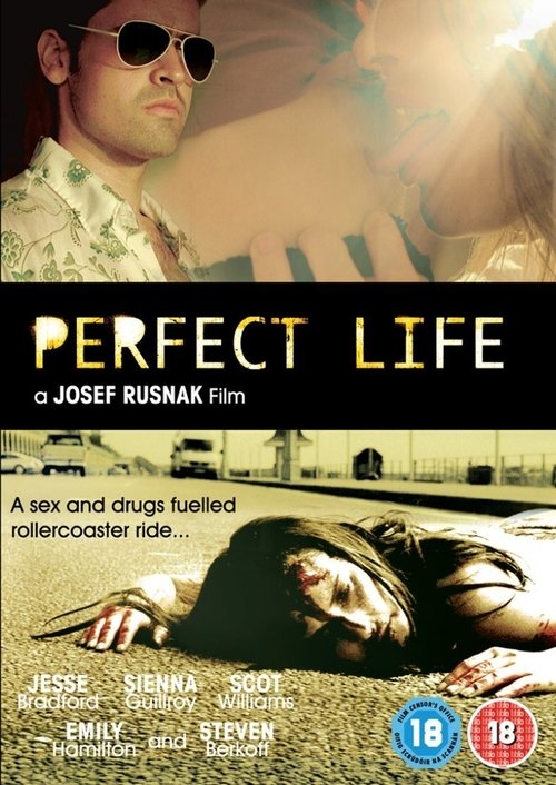 Perfect Life Movie Poster Image