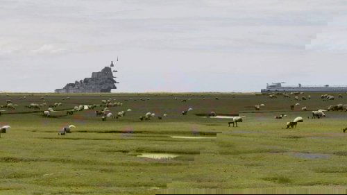 Image de l'épisode 22