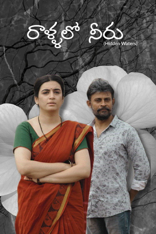 Hidden Waters Poster