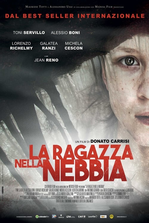 La ragazza nella nebbia (2017) poster