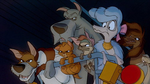 Oliver & Company