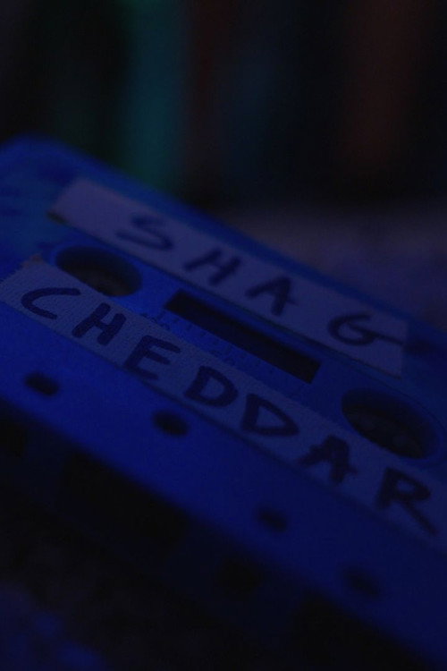 Shag Cheddar