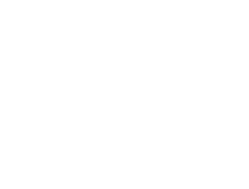 Family Album
