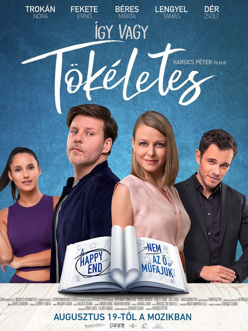 Perfect as You Are poster