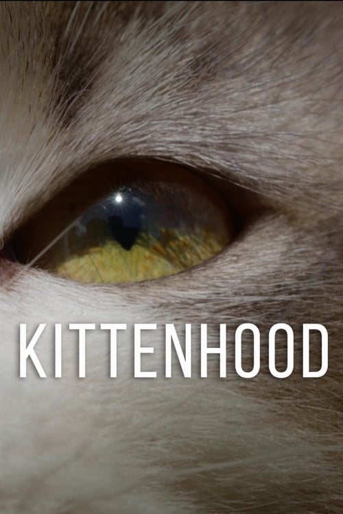 Where to stream Kittenhood