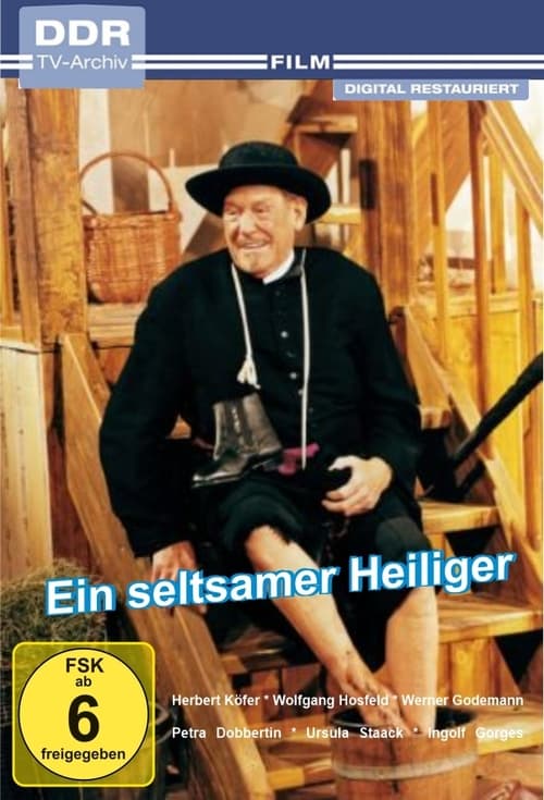 Ein seltsamer Heiliger (1995)