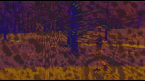 Joose Psychedelia Test