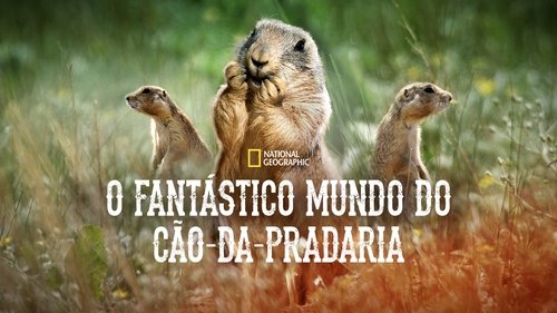 Prairie Dog Manor