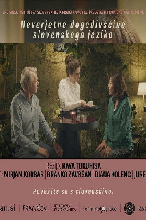 Incredible Adventures of the Slovenian Language Poster