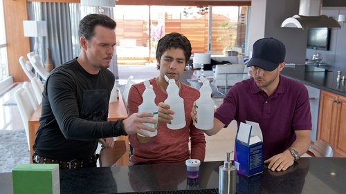 Entourage: Fama e Amizade: 8×4