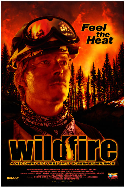Wildfire: Feel the Heat Movie Poster Image