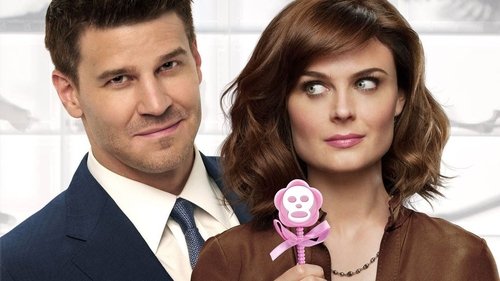 Bones: Sempre em Medicina