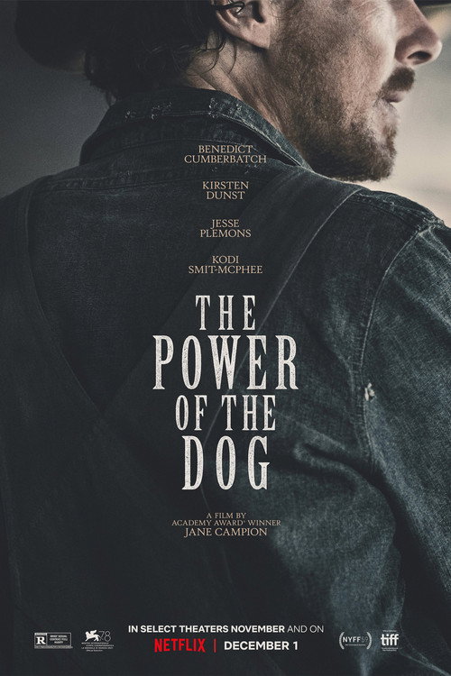Poster 36 for The Power of the Dog