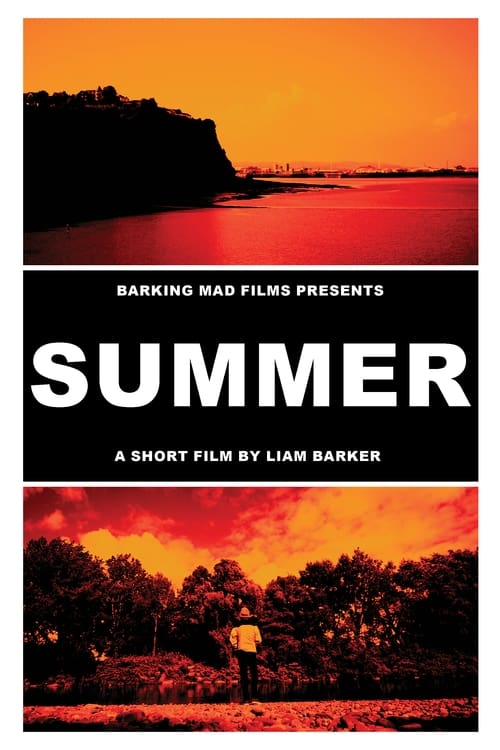 SUMMER (2021) poster