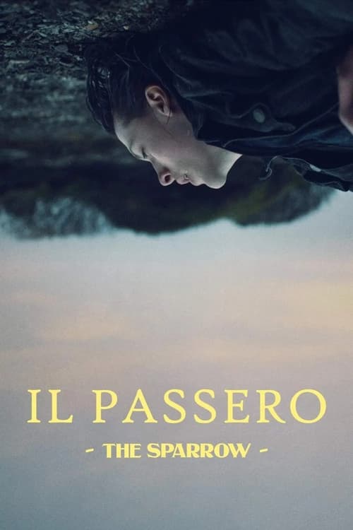 Il passero - The Sparrow poster