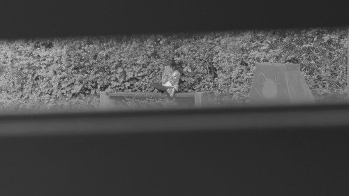 What they can see Backdrop Blur