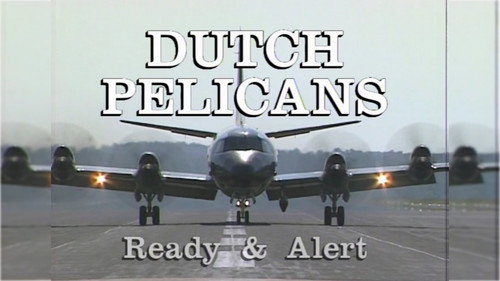Dutch Pelicans Ready and Alert Backdrop Blur
