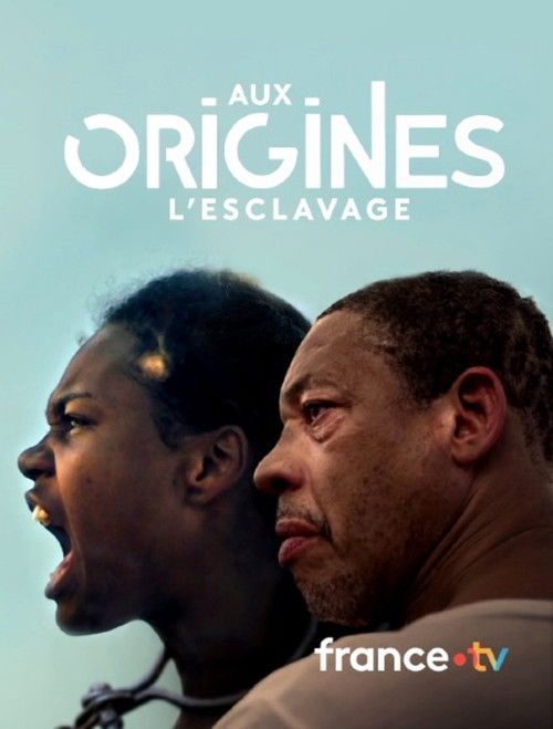 Aux origines, l'esclavage poster