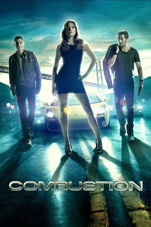 Combustion poster